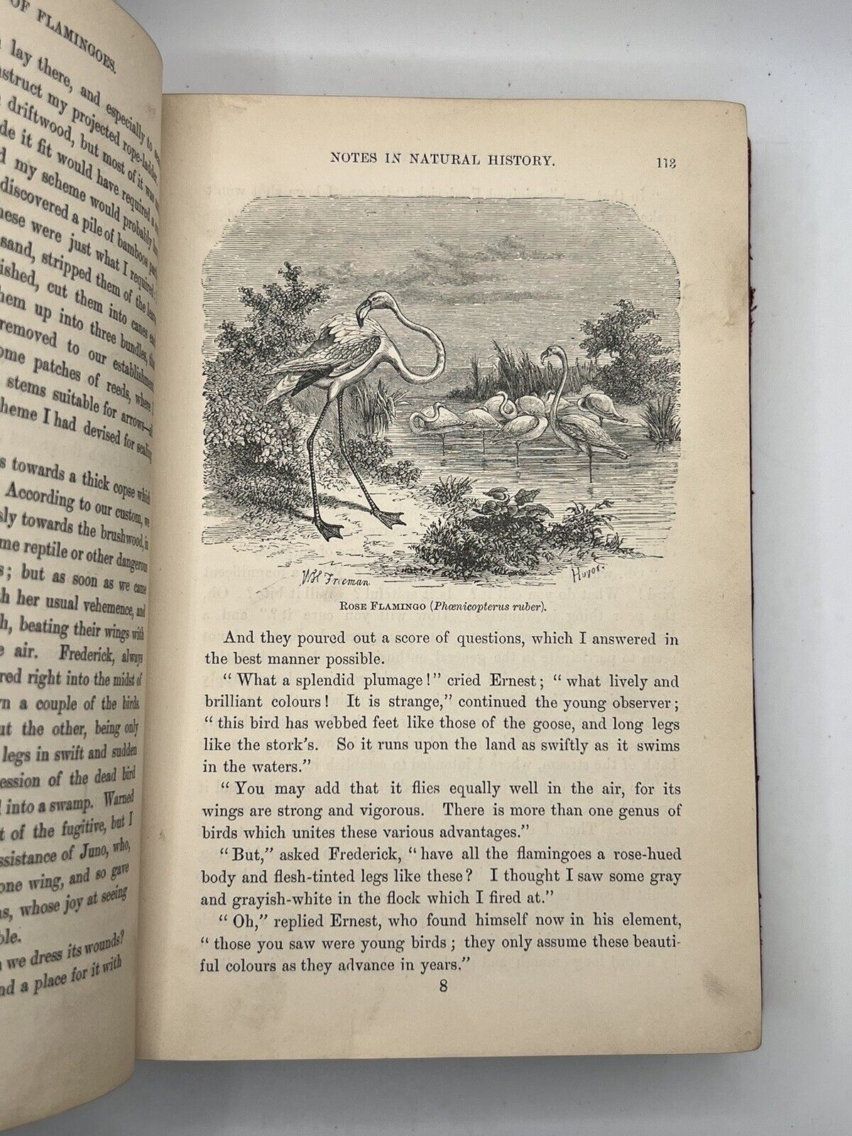 The Swiss Family Robinson by Johann David Wyss 1870