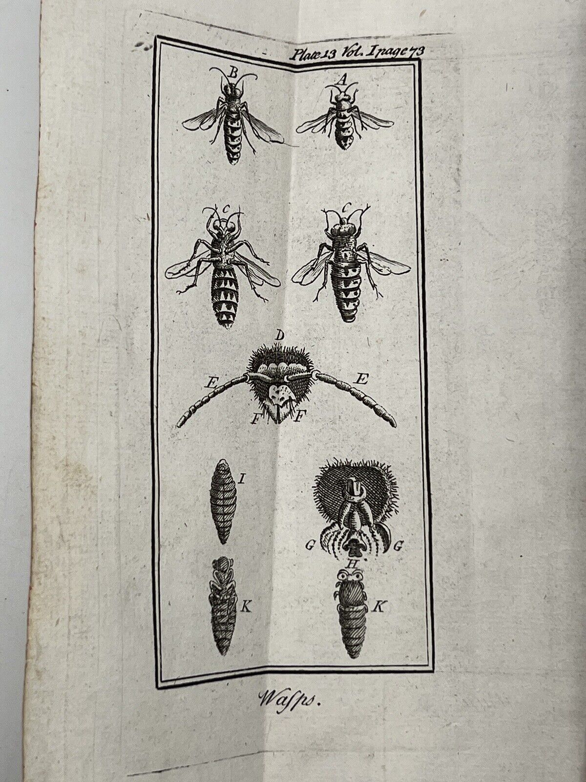 Discourses on Natural History 1739