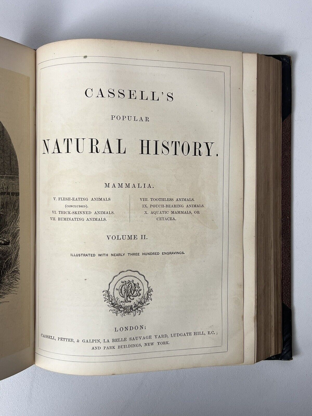 Cassell's Popular Natural History Illustrated with 1000+ Engravings