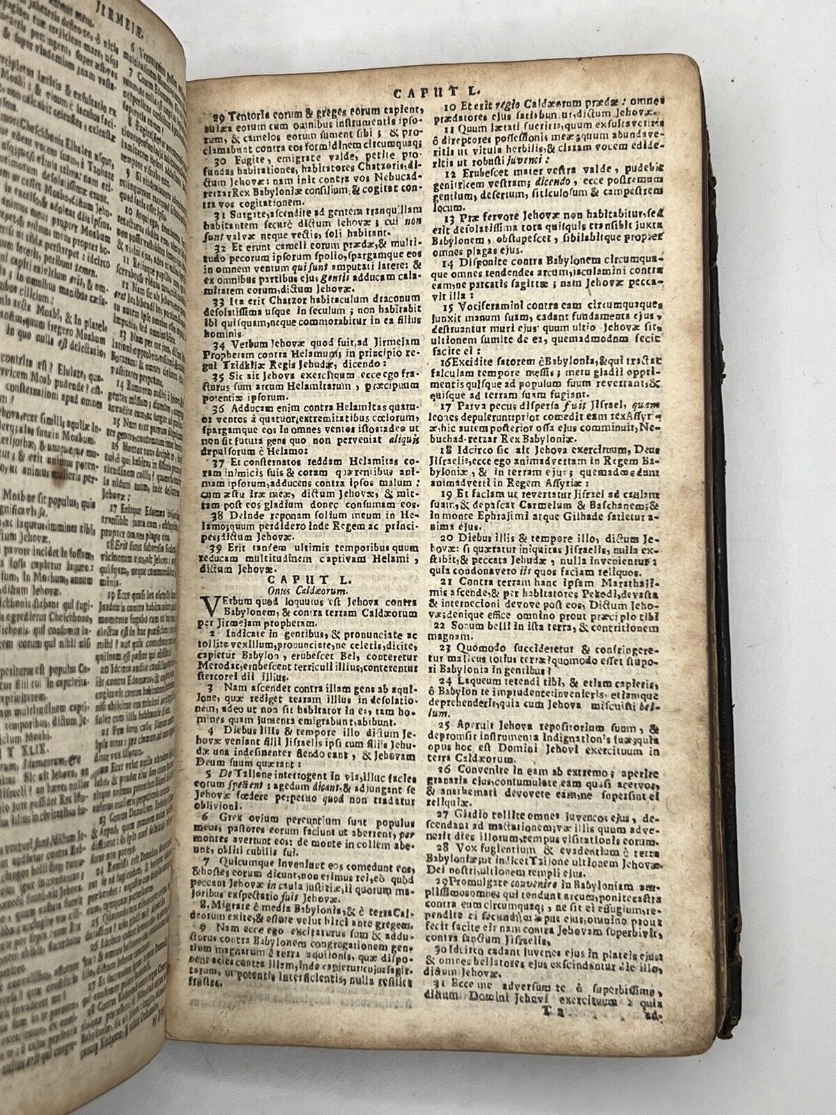 Biblia Sacra: The Bible 1656