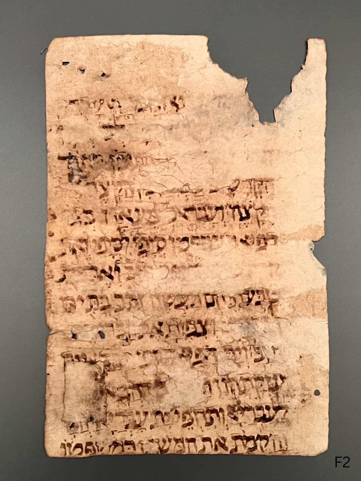 11th Century Biblical Hebrew Codex; Containing the Book of Exodus