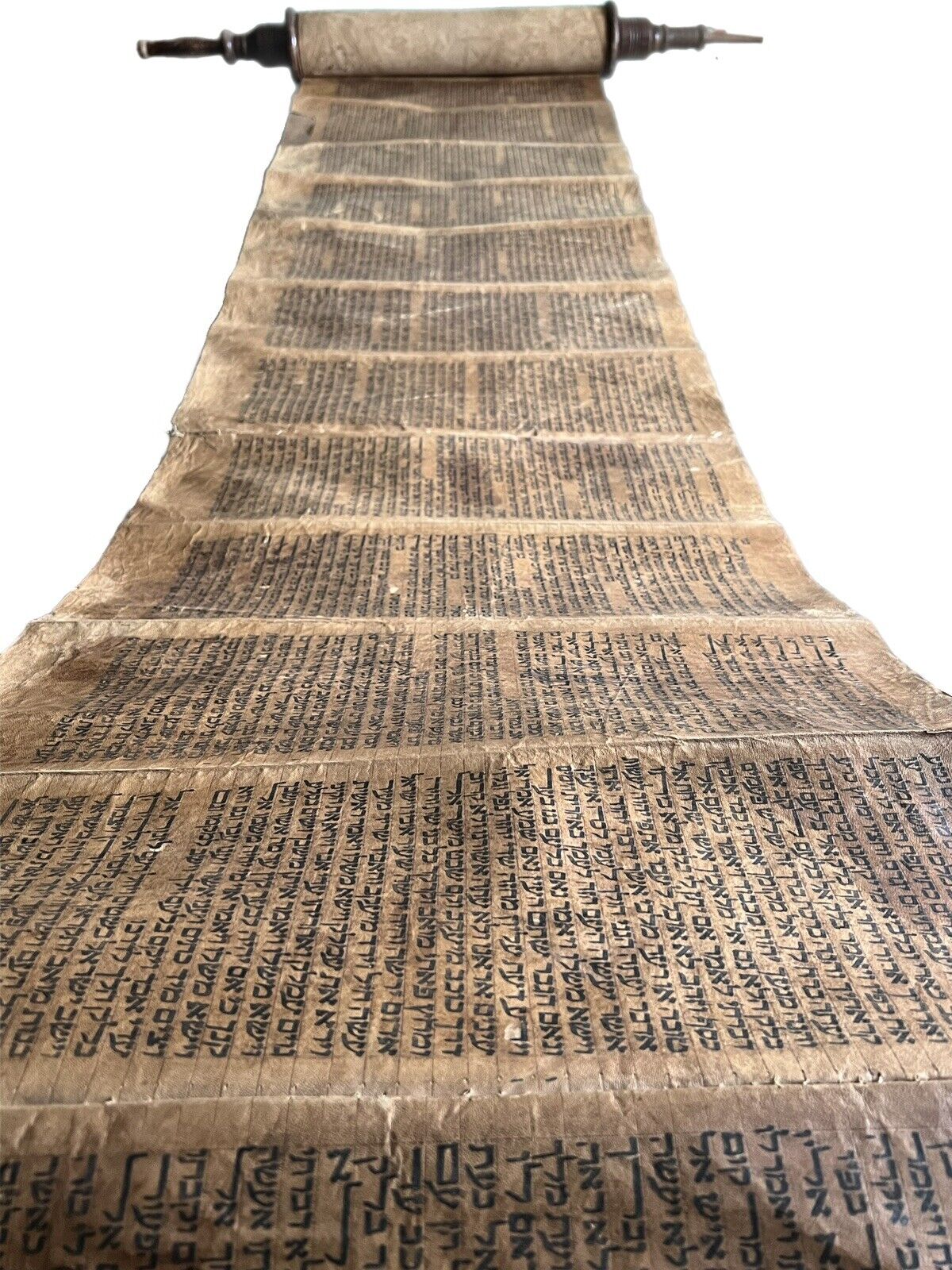 Complete 18th Century Torah Scroll: 5 Books of Moses