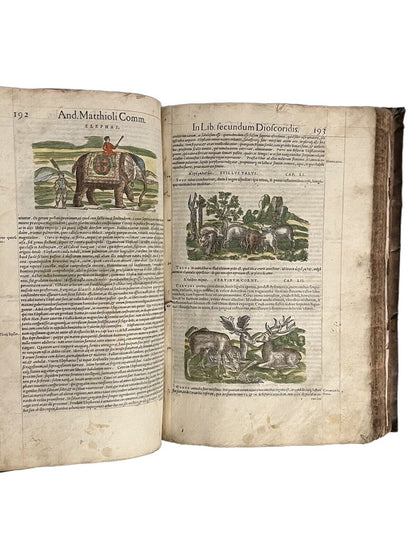 Pietro Andrea Mattioli Herbal 1554 Hand Coloured Woodcuts