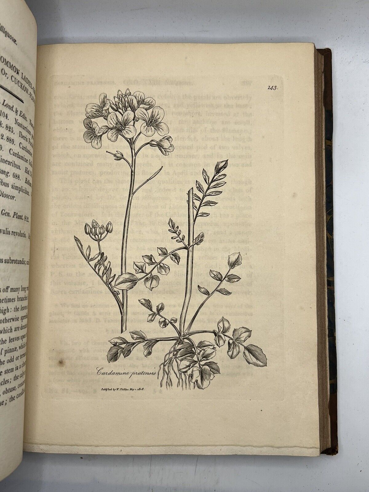 Woodville's Medical Botany 1810