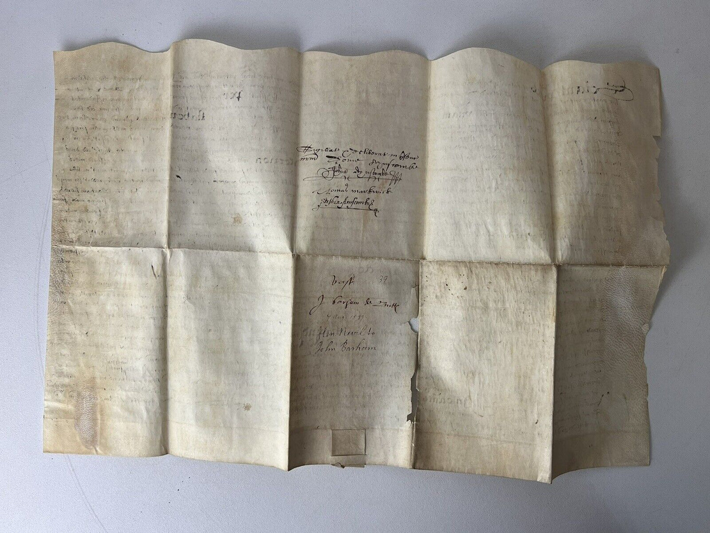 William Shakespeare Associated Vellum Document Dated 1599 Elizabethan