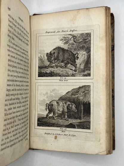 Buffon's Natural History of Birds, Fish, Insects & Reptiles 1792-3