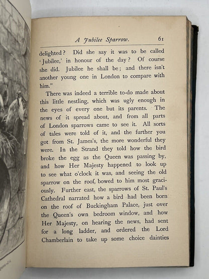 Tales of the Birds by W. Warde Fowler 1903