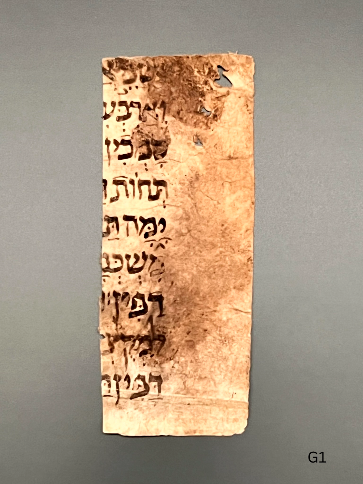 11th Century Biblical Hebrew Codex; Containing the Book of Exodus