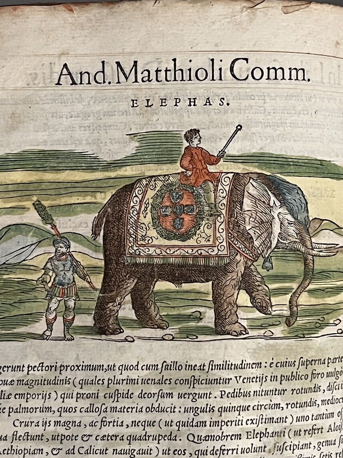 Pietro Andrea Mattioli Herbal 1554 Hand Coloured Woodcuts