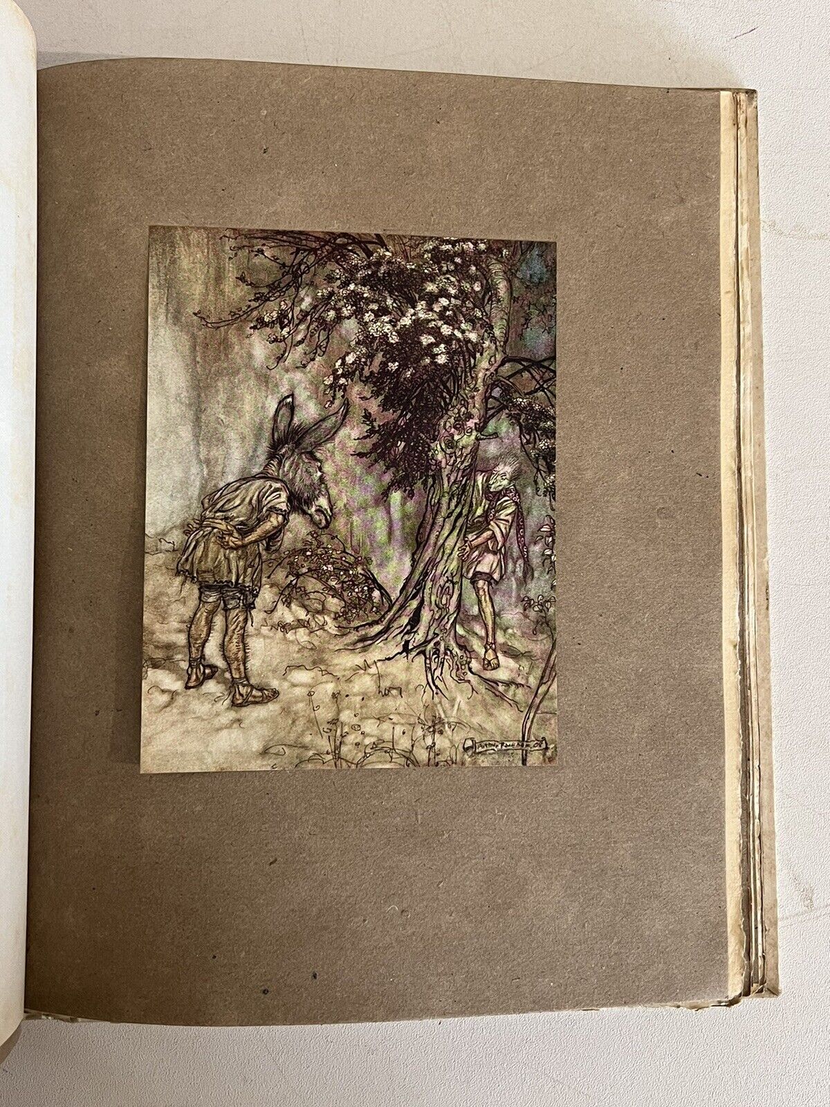 A Midsummer Night's Dream by William Shakespeare 1908 Arthur Rackham Signed