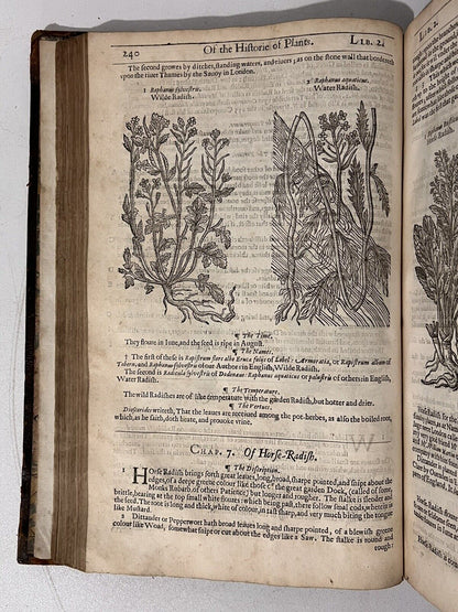 John Gerard's Herbal 1636