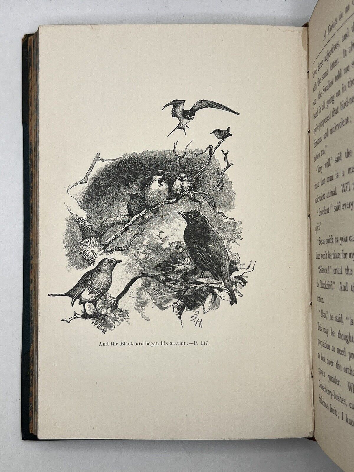 Tales of the Birds by W. Warde Fowler 1903