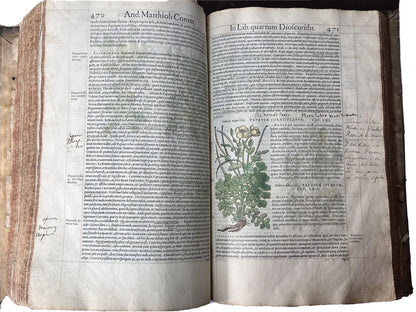 Senensis Commentarii by Pietro Andrea Mattioli 1554 Hand Coloured Herbal