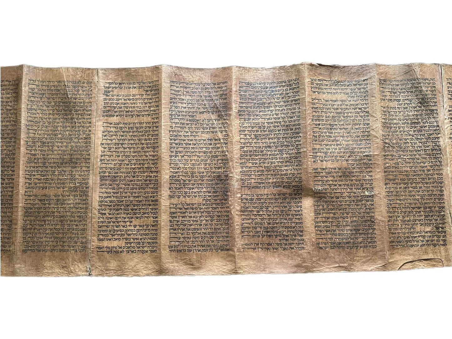 Complete 18th Century Torah Scroll: 5 Books of Moses