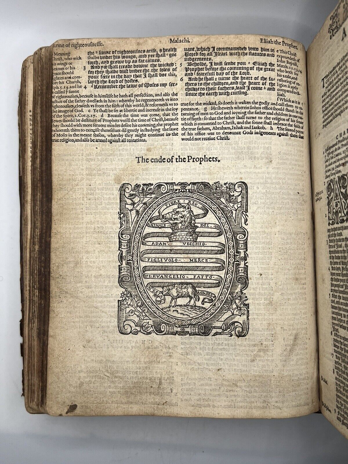 Geneva "Breeches" Bible 1585