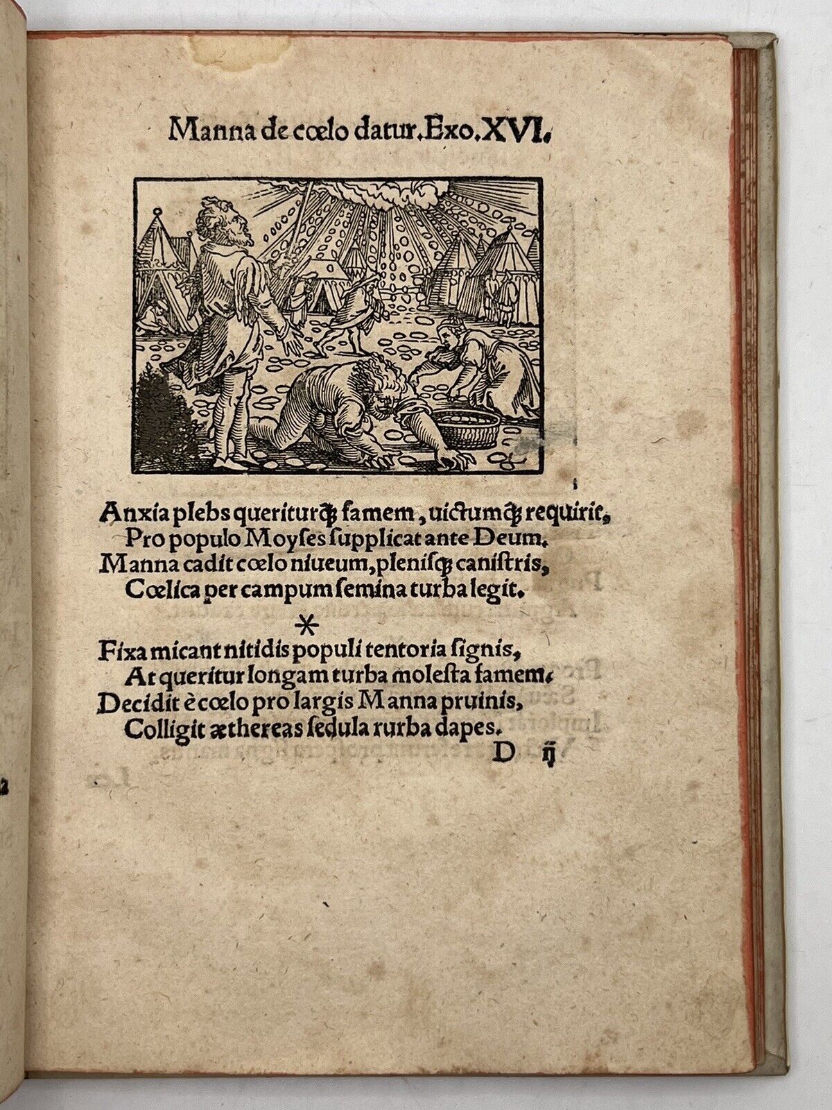 Biblicae Historiae Georg Aemilius 1539 Illustrated Post-Incunable Tyndale