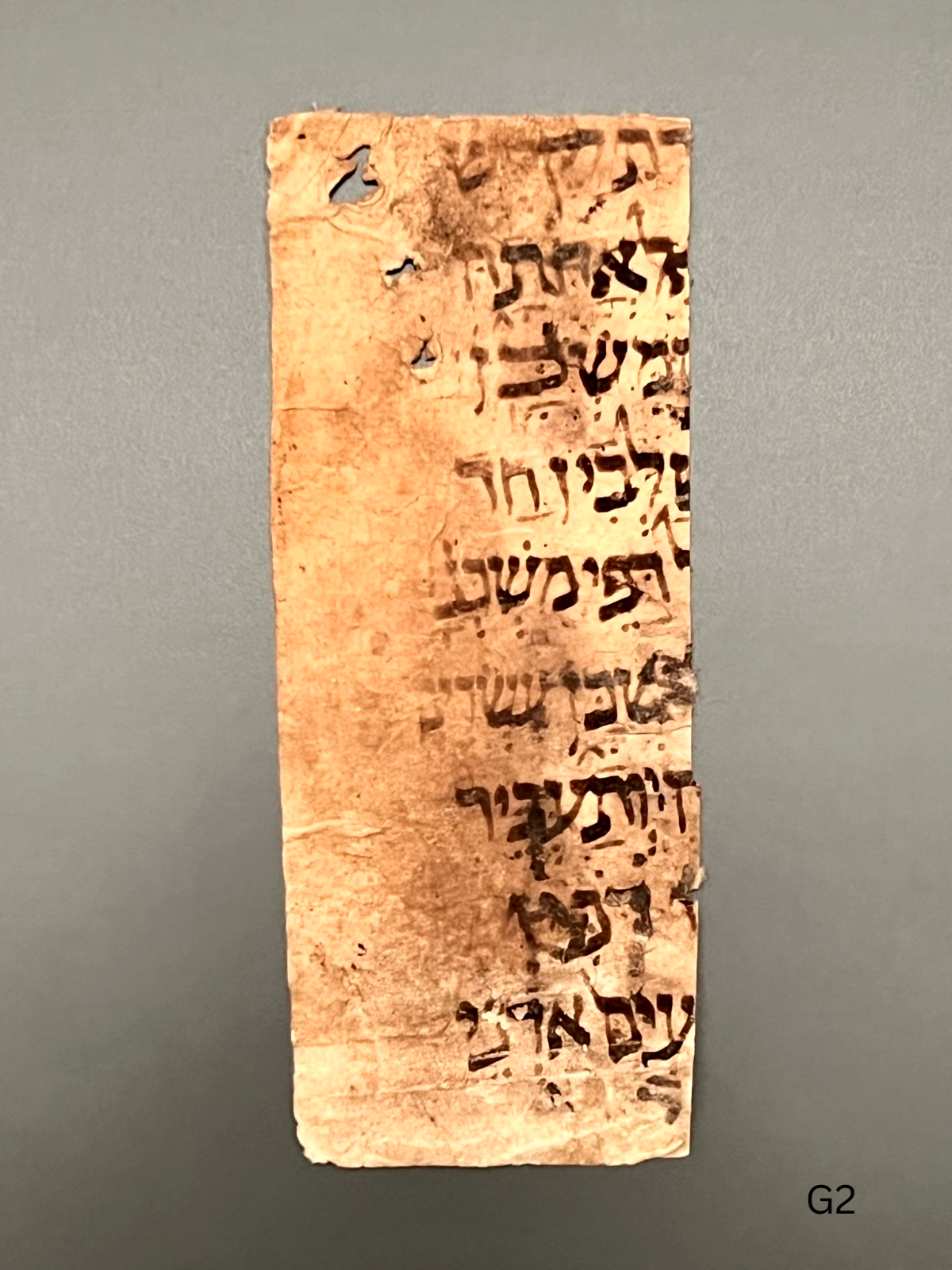 11th Century Biblical Hebrew Codex; Containing the Book of Exodus