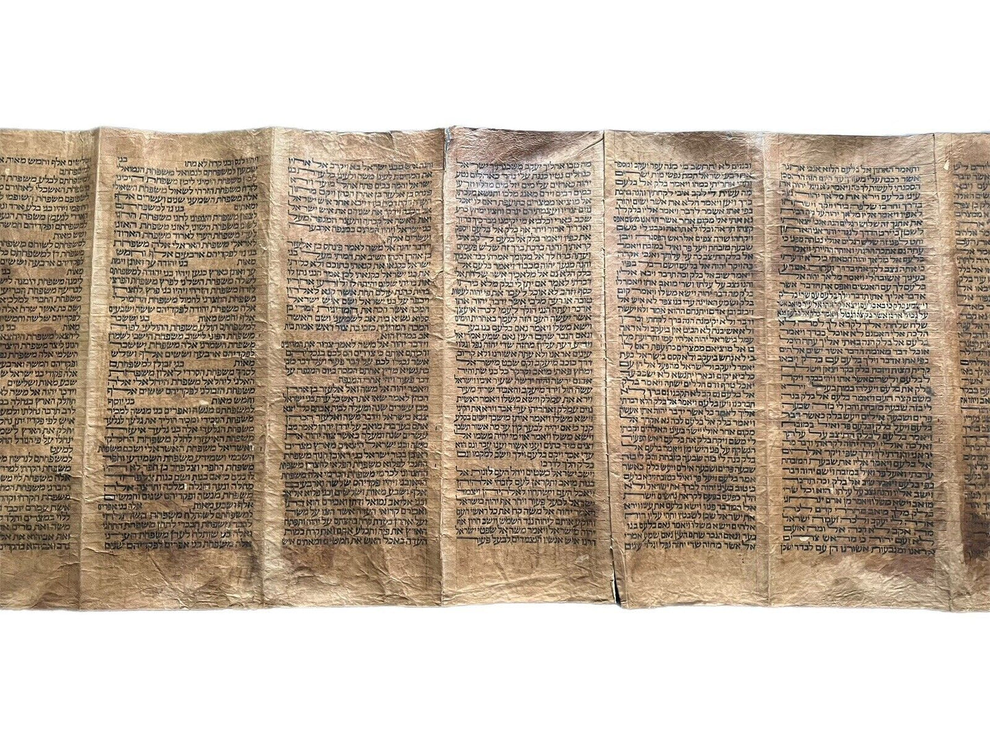 Complete 18th Century Torah Scroll: 5 Books of Moses