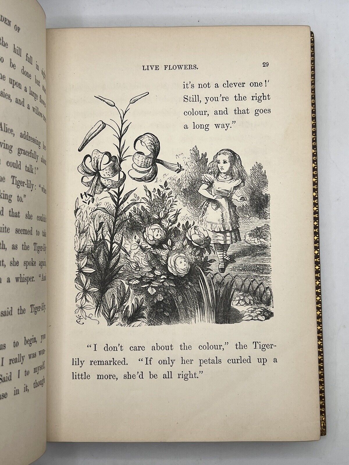 Alice in Wonderland & Through the Looking Glass by Lewis Carroll First Editions