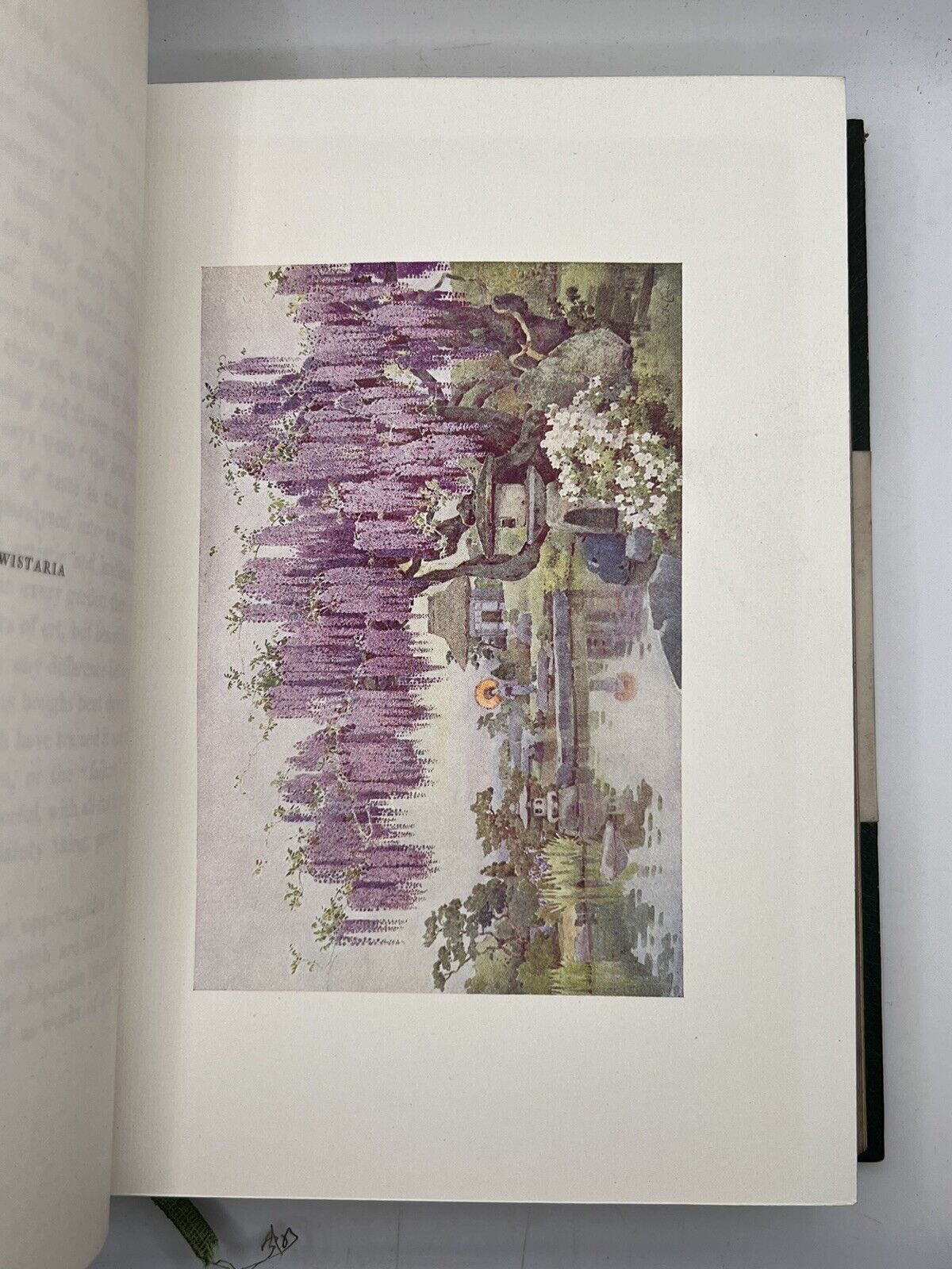 The Flowers and Gardens of Japan 1908