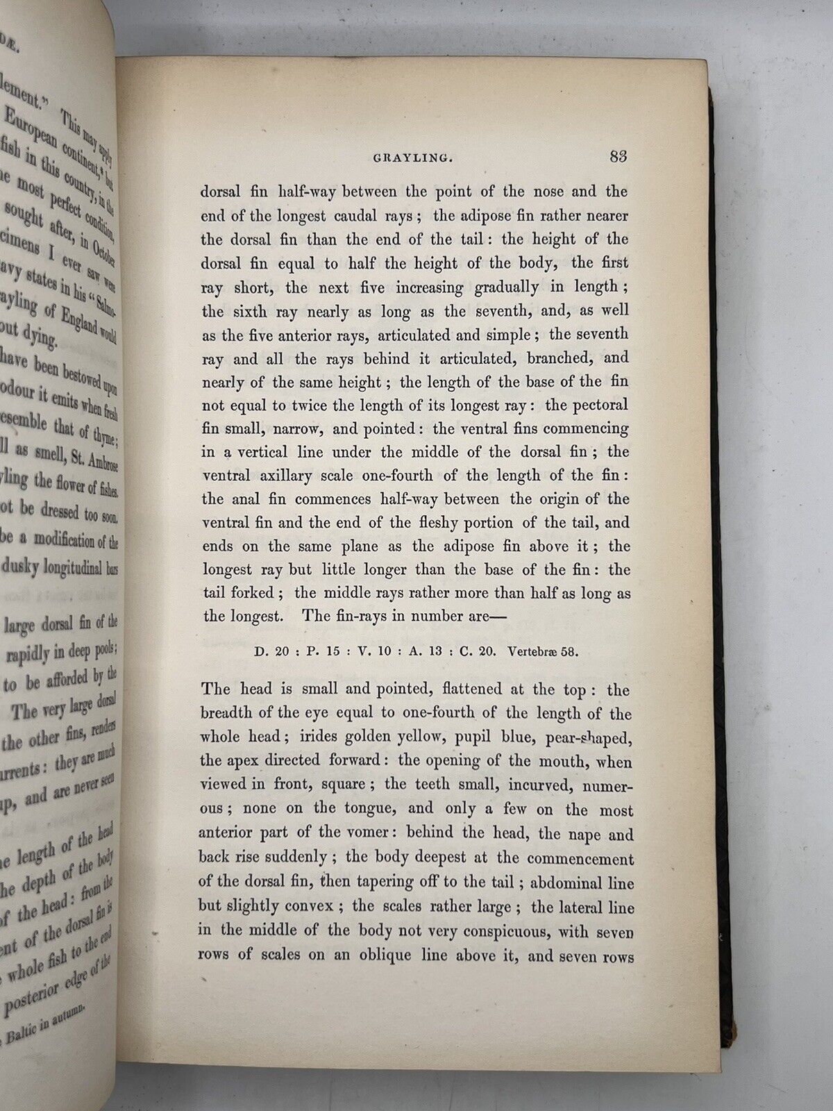 A History of British Fishes by William Yarrell 1836 First Edition