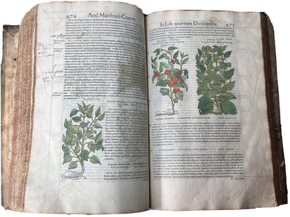 Senensis Commentarii by Pietro Andrea Mattioli 1554 Hand Coloured Herbal