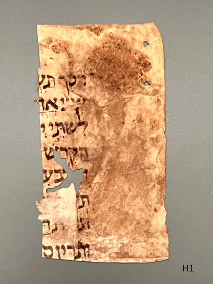 11th Century Biblical Hebrew Codex; Containing the Book of Exodus