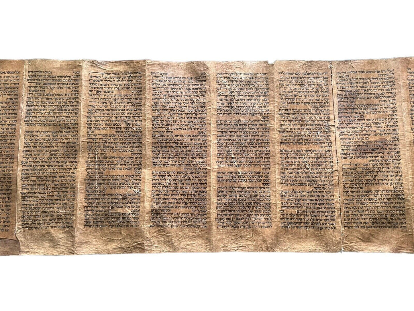 Complete 18th Century Torah Scroll: 5 Books of Moses