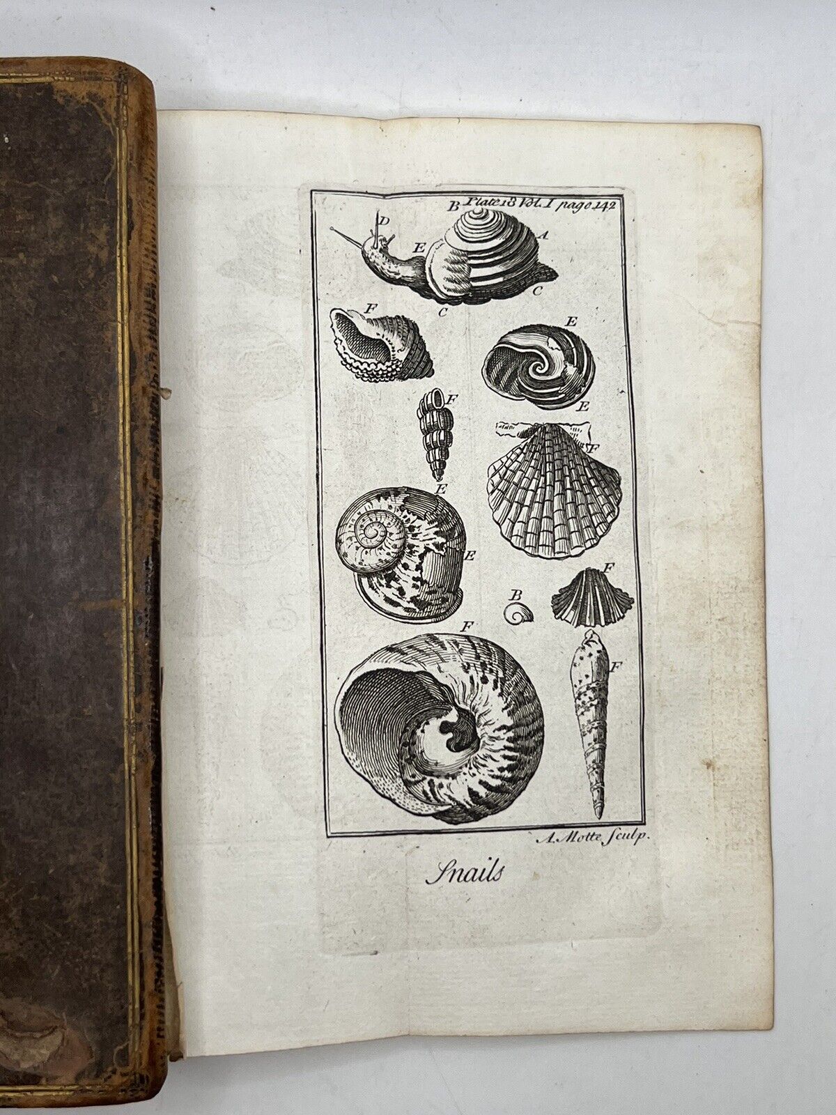 Discourses on Natural History 1739