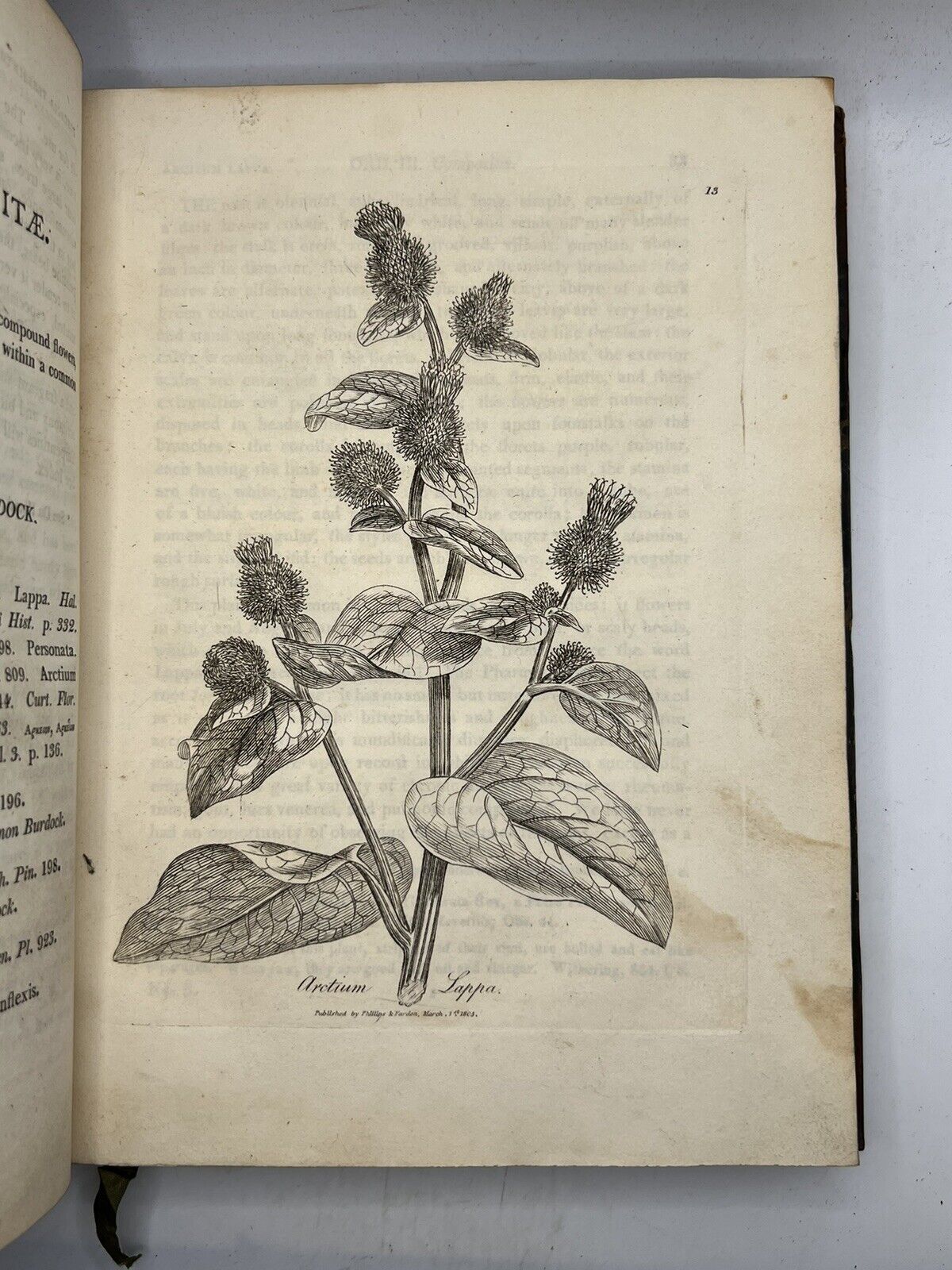 Woodville's Medical Botany 1810