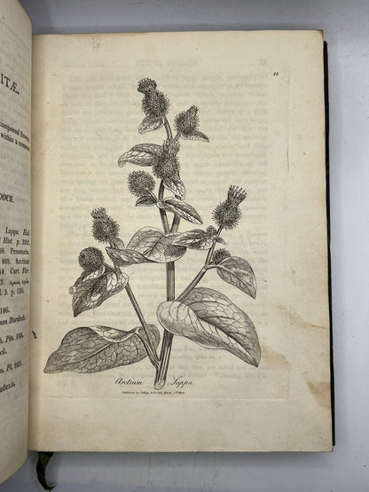 Woodville's Medical Botany 1810