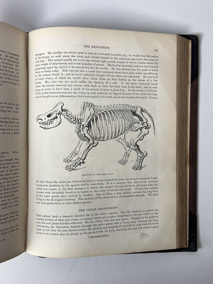 Cassell's Popular Natural History Illustrated with 1000+ Engravings