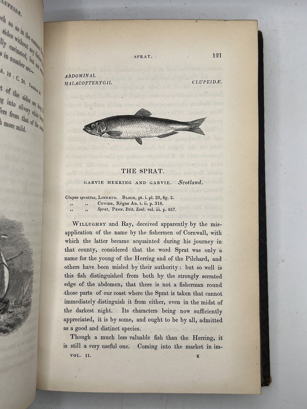 A History of British Fishes by William Yarrell 1836 First Edition