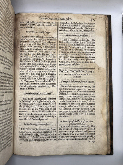 The Book of Physicke by Oswald Gabelkover 1599 First Edition