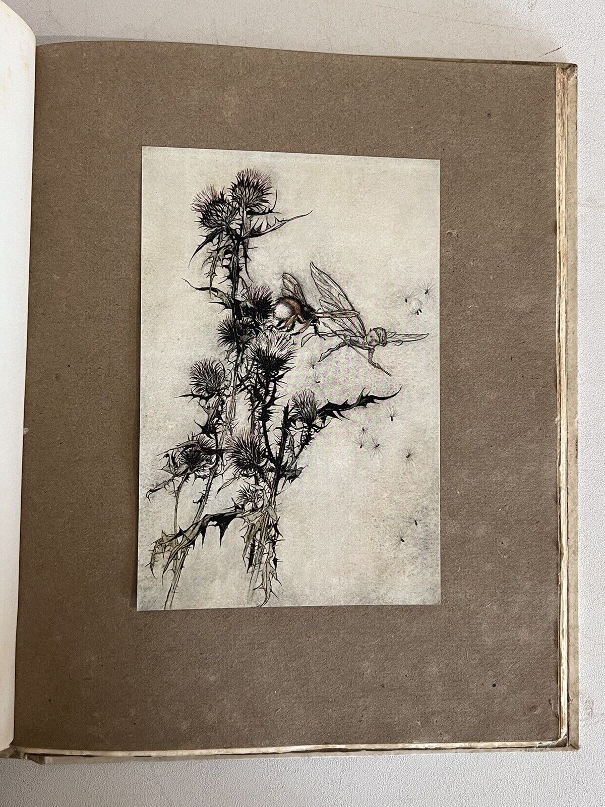 A Midsummer Night's Dream by William Shakespeare 1908 Arthur Rackham Signed