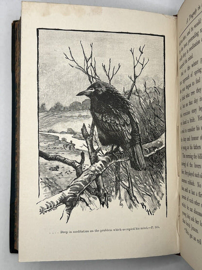 Tales of the Birds by W. Warde Fowler 1903