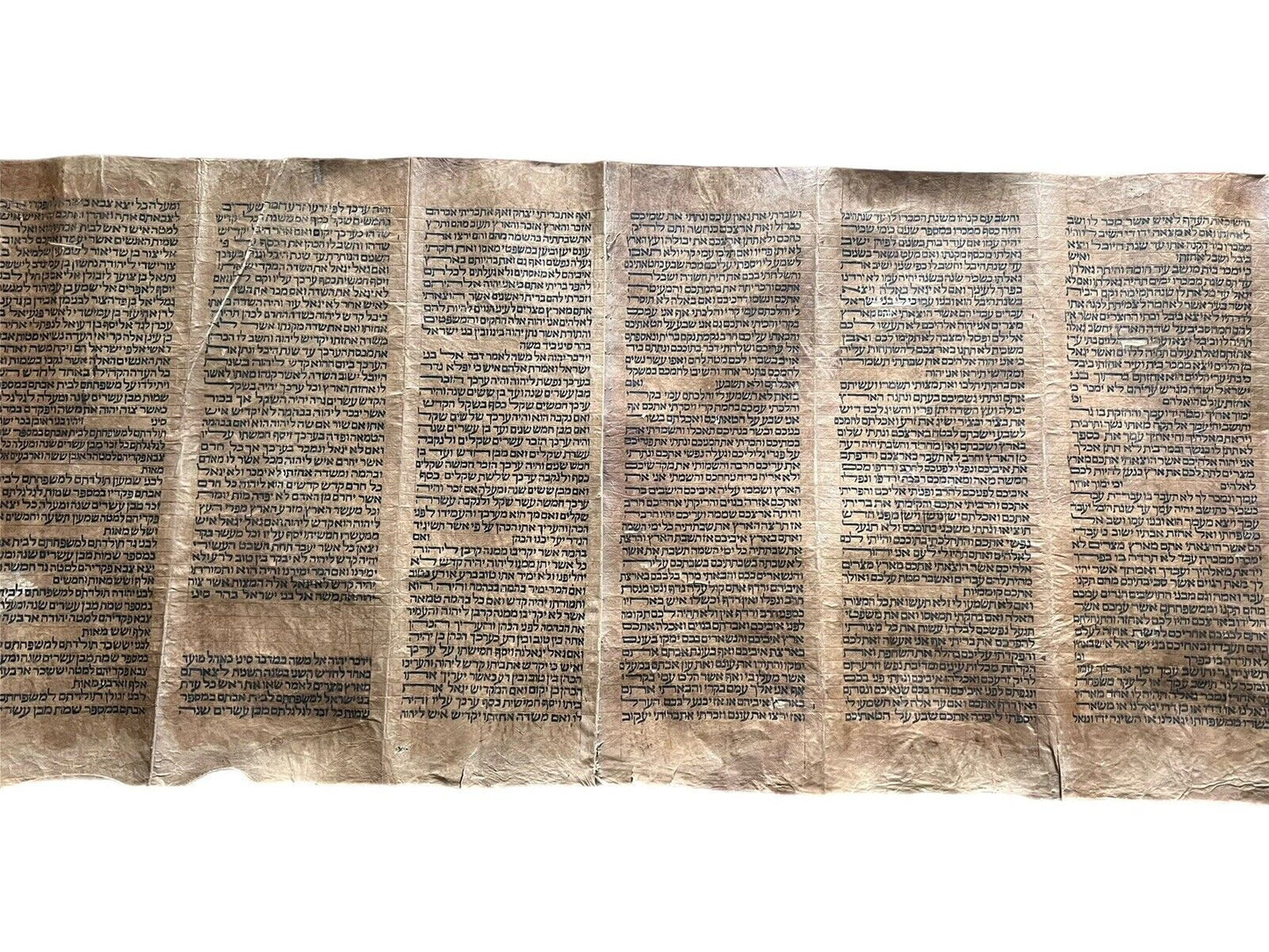 Complete 18th Century Torah Scroll: 5 Books of Moses