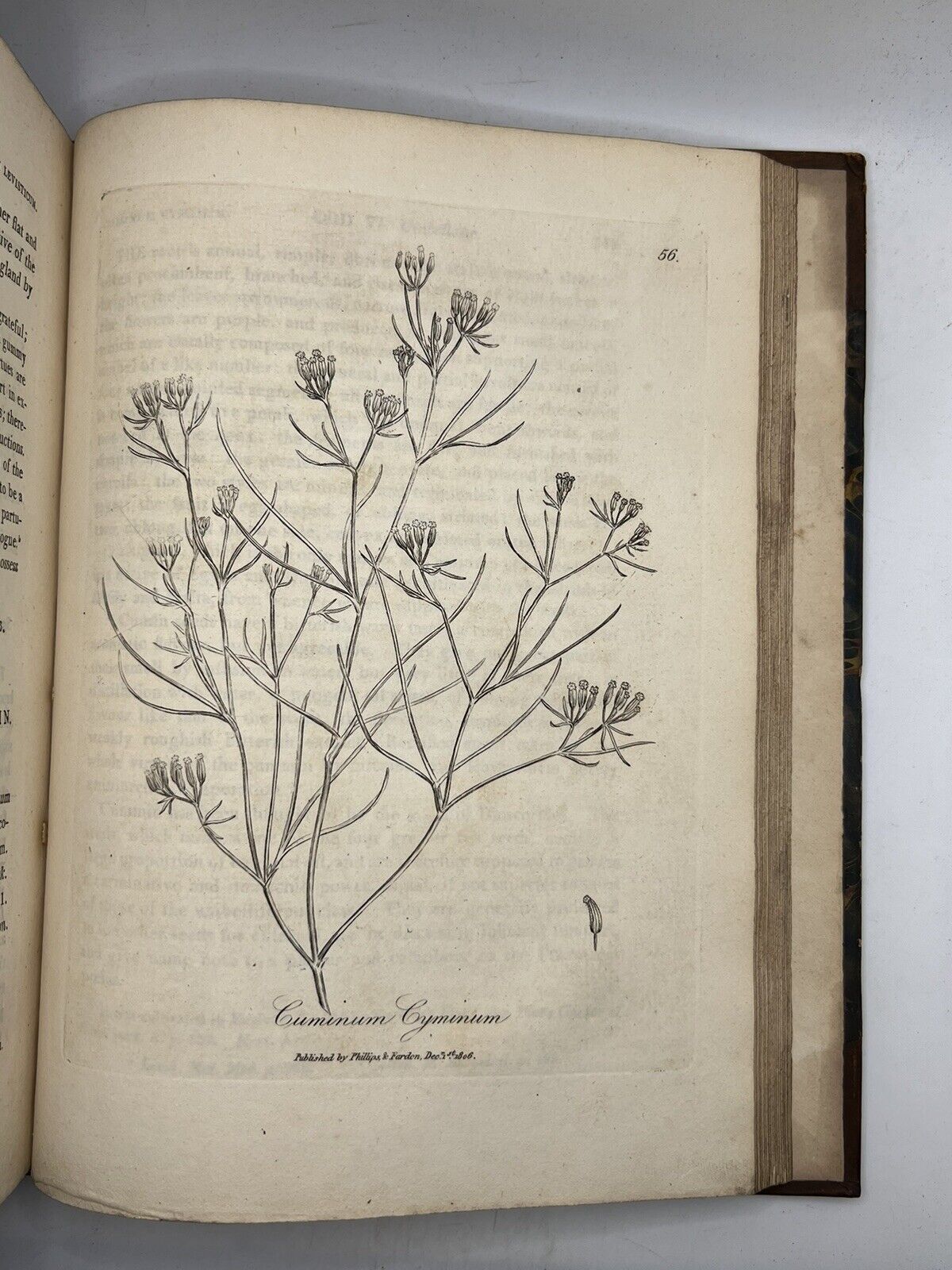 Woodville's Medical Botany 1810