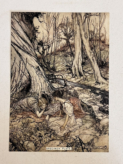 A Midsummer Night's Dream by William Shakespeare 1908 Arthur Rackham Signed