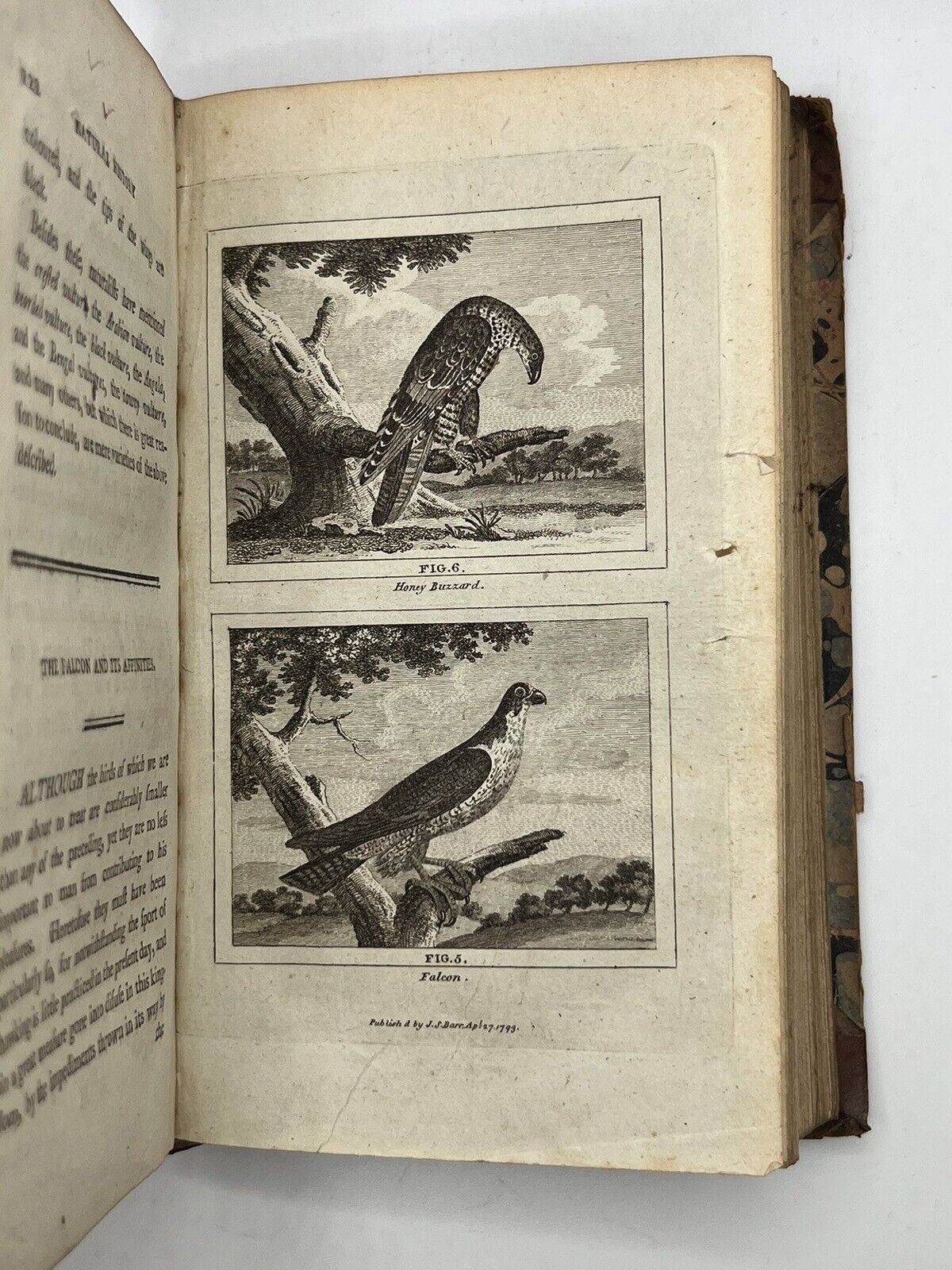 Buffon's Natural History of Birds, Fish, Insects & Reptiles 1792-3