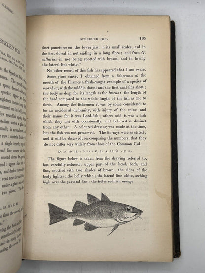 A History of British Fishes by William Yarrell 1836 First Edition