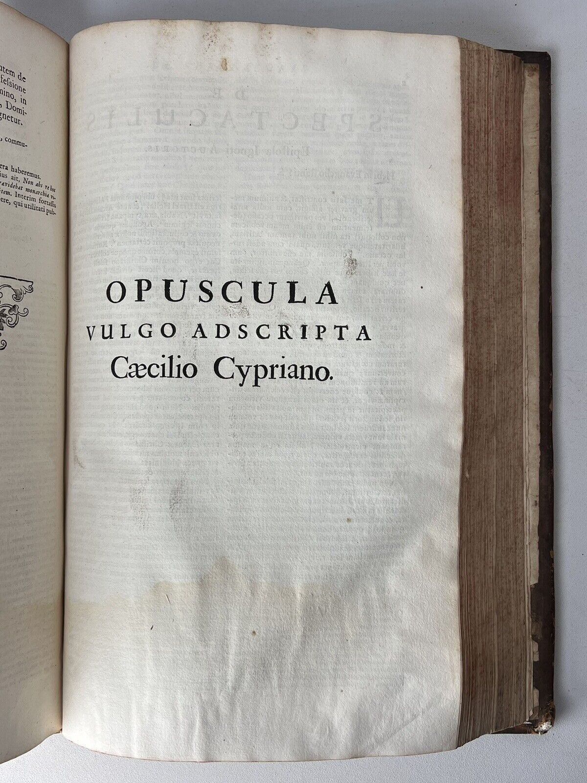 The Works of Saint Cyprian 1682