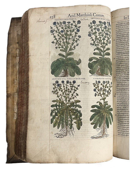 Pietro Andrea Mattioli Herbal 1554 Hand Coloured Woodcuts