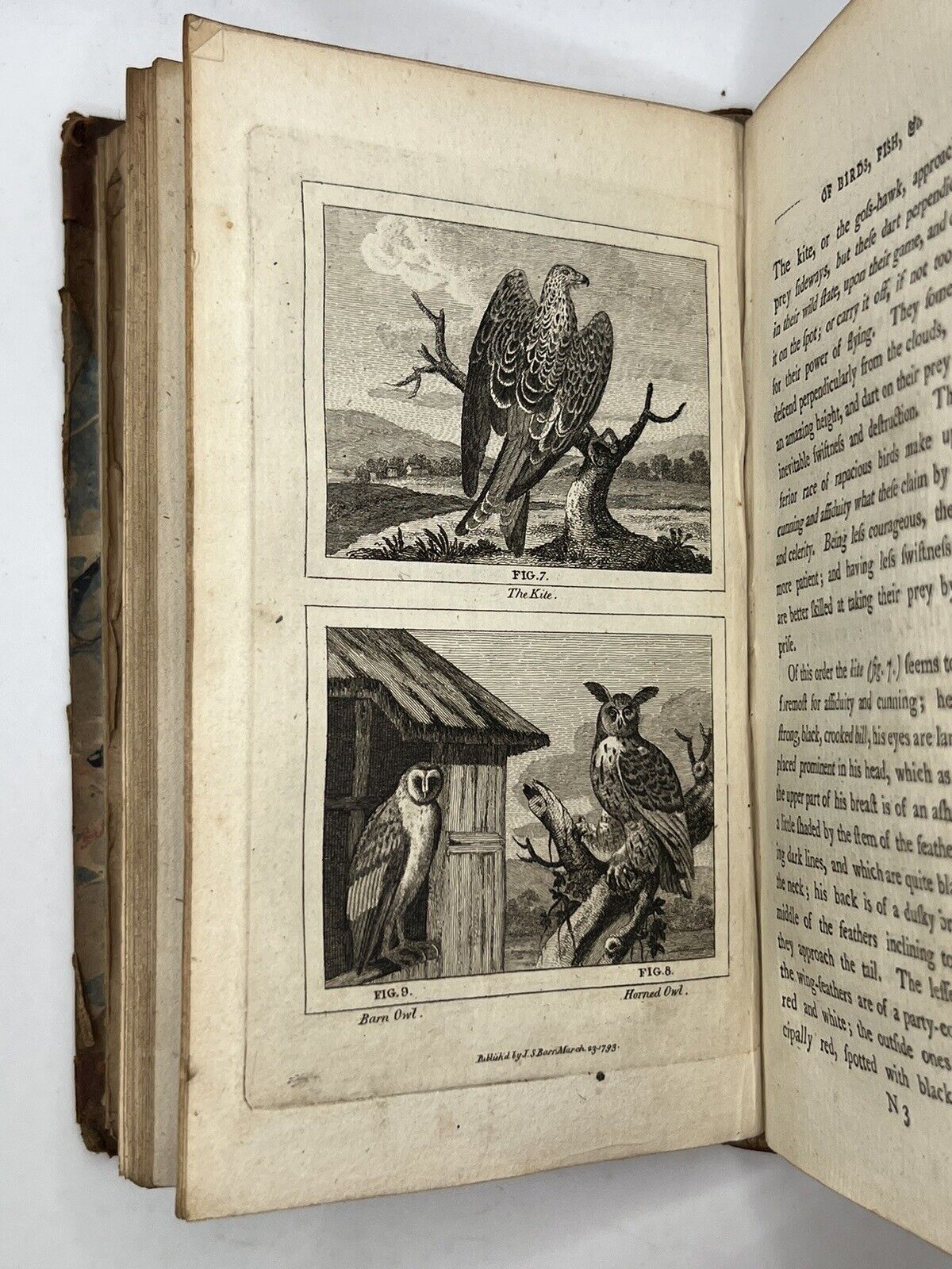 Buffon's Natural History of Birds, Fish, Insects & Reptiles 1792-3