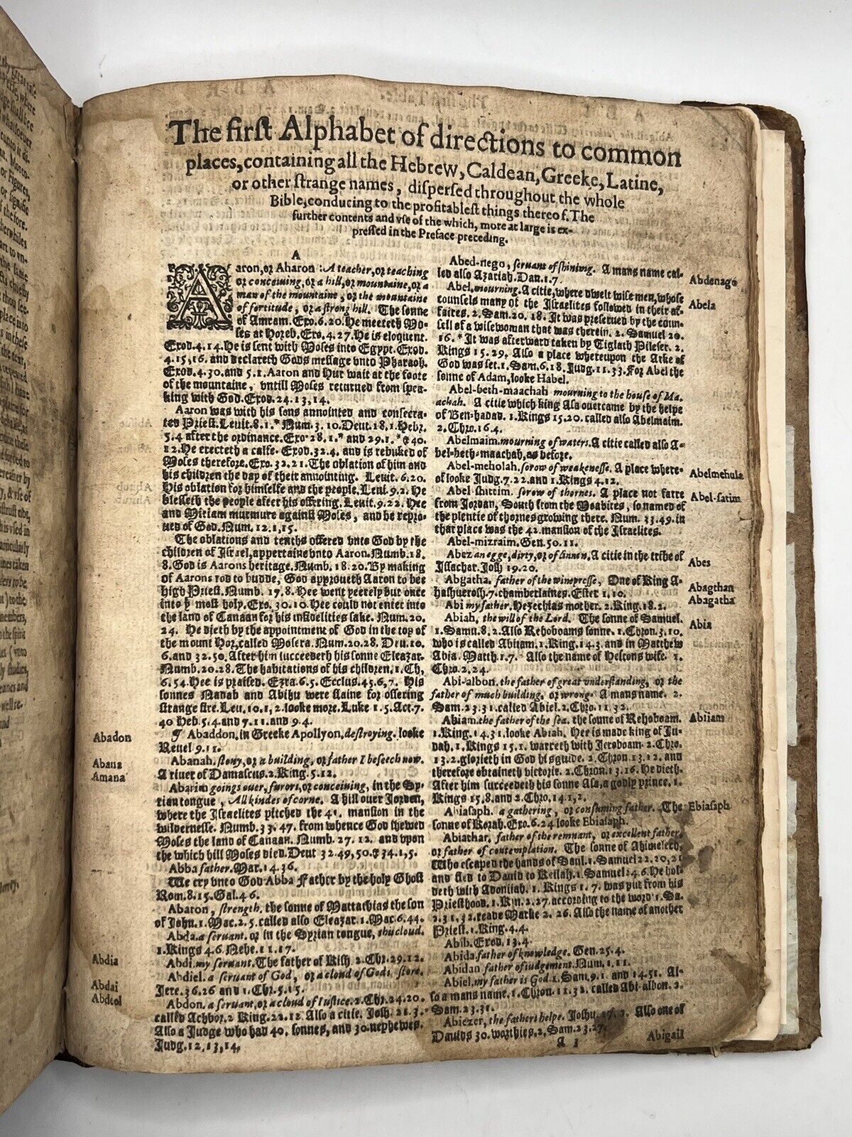 Geneva "Breeches" Bible 1585