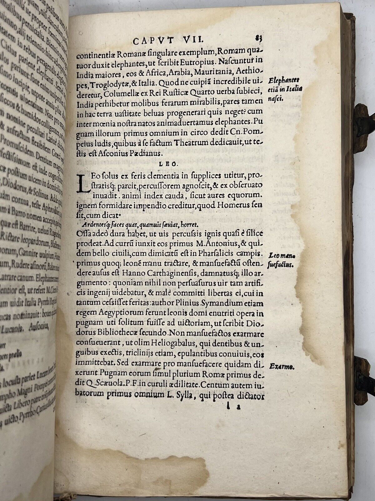 De Partibus Aedium 1541