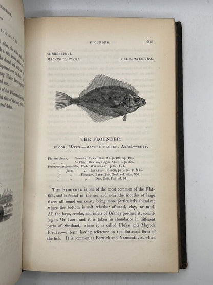 A History of British Fishes by William Yarrell 1836 First Edition