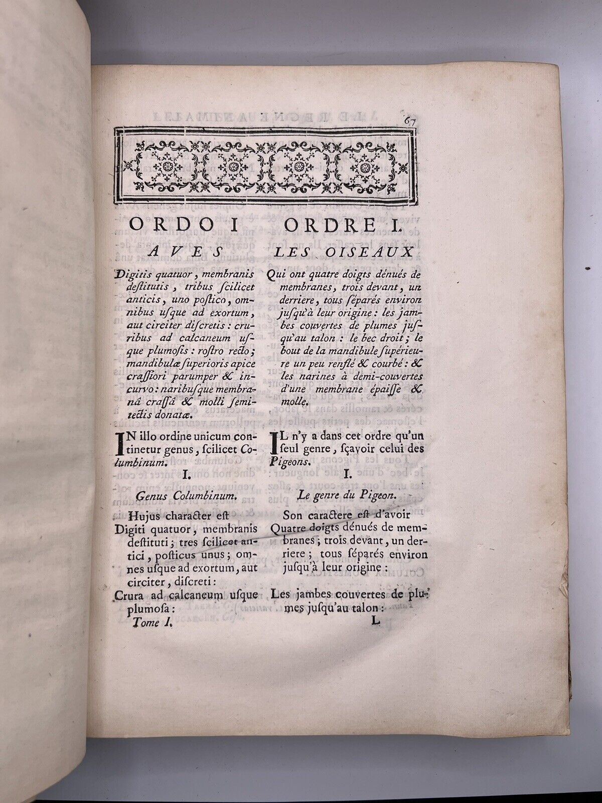 Ornithologia by Brisson 1760