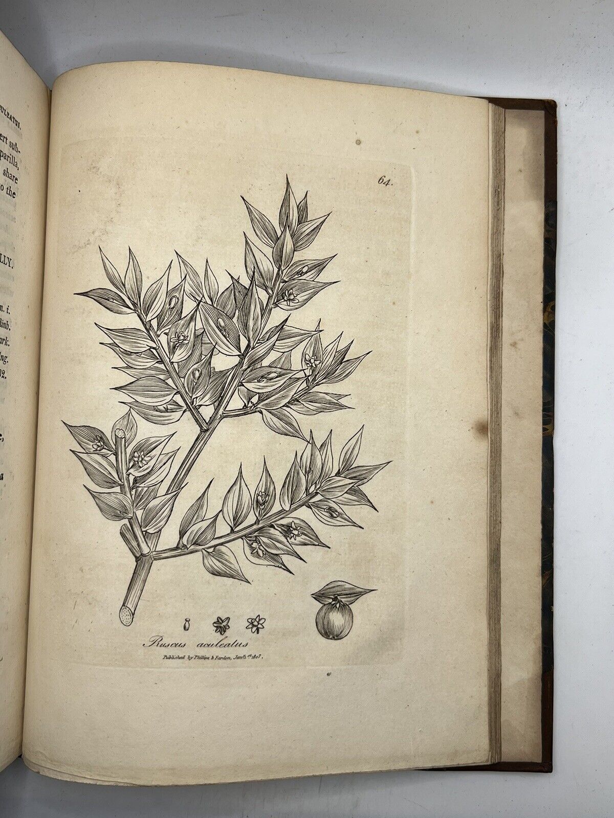 Woodville's Medical Botany 1810