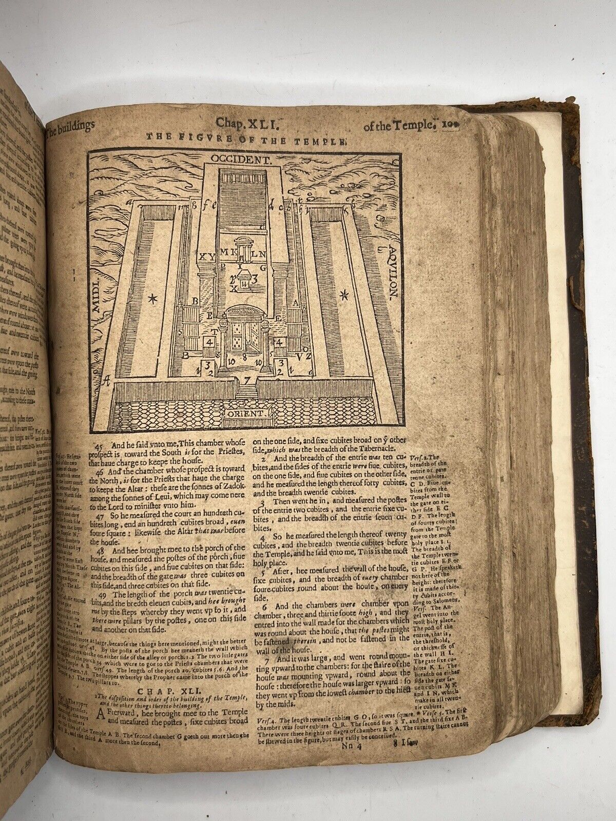 Geneva "Breeches" Bible 1599